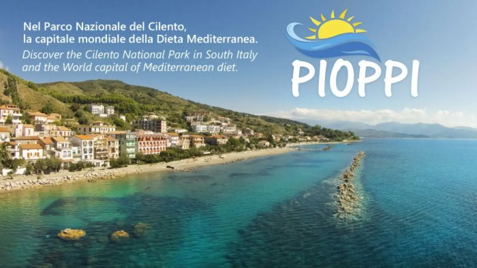 Marco Polo Advisor Case Study
